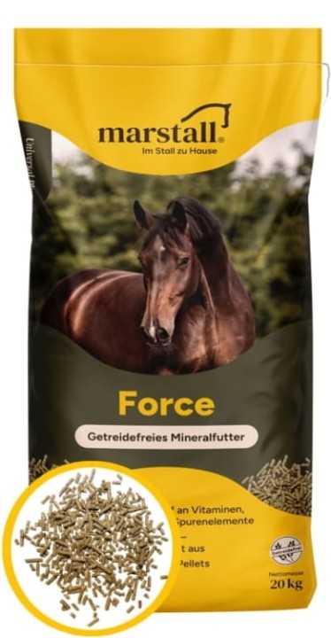 Force.webp