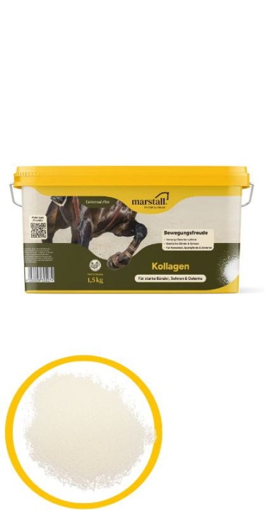 marstall-kollagen-suplement-na-stawy-dla-koni-1-5kg-.webp
