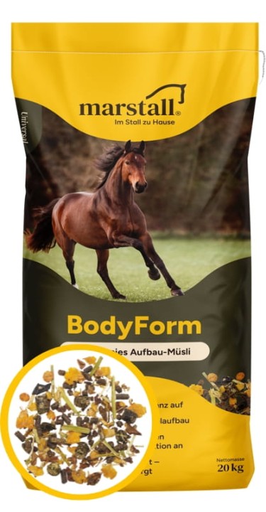 Body-Form.webp
