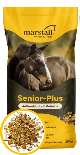 Senior-Plus.webp