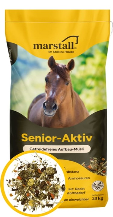 Senior-Plus-3.webp