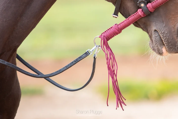 8.9670.73-EDIX-Alano-braided-bosal-IMG_3525.webp