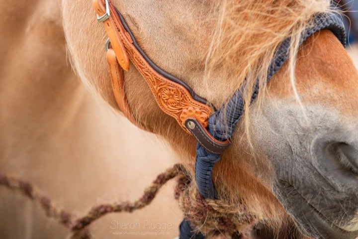 8.9670.73-EDIX-Alano-braided-bosal-IMG_1025.webp