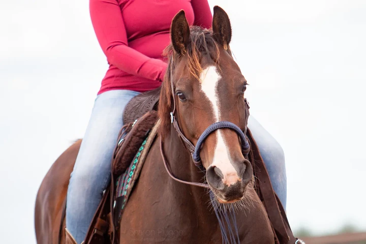 8.9670.73-EDIX-Alano-braided-bosal-IMG_5173.webp