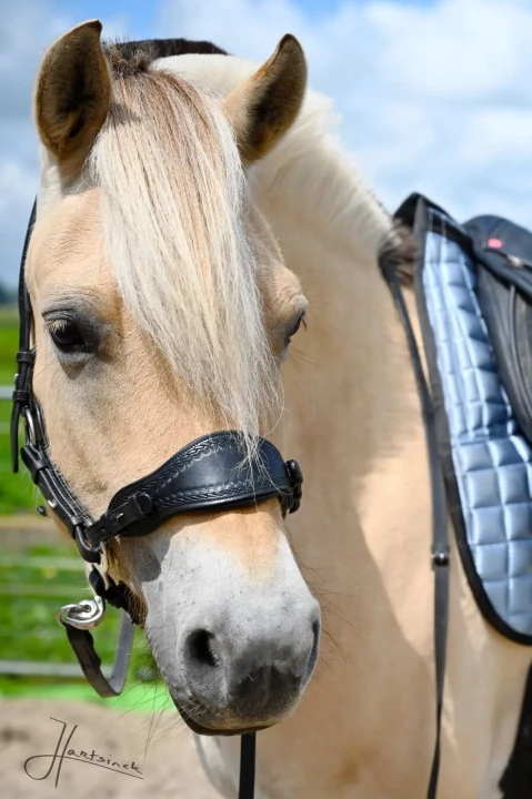 291133394_577708143934253_8732229280644880175_n (1).webp