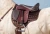 1.4145.04-EDIX-Elore-child-saddle-IMG_3029.webp