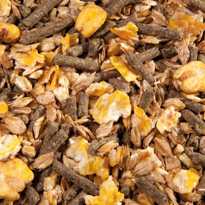 EMH Cool Müsli 20kg 2.webp