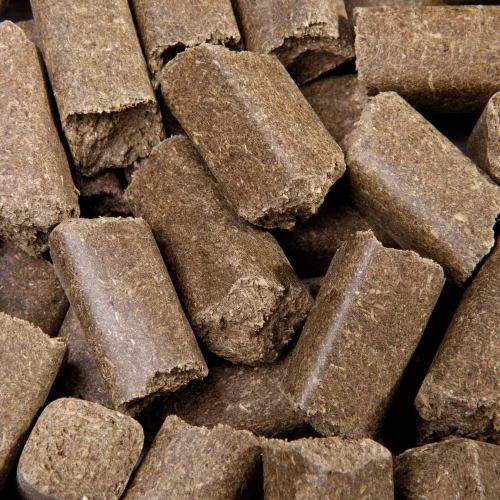 2112-315-lecker-bricks-kraeuter-detail-0003-0004_1920.webp