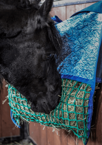 Torba na siano dla konia z RAO ograniczająca pylenie kolor niebieski