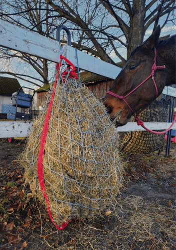 Siatka na Siano PREMIUM 5mm Oczko 8cm | Piece of Hay